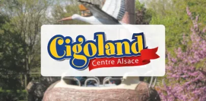 Produit CIGOLAND ADULTE Image
