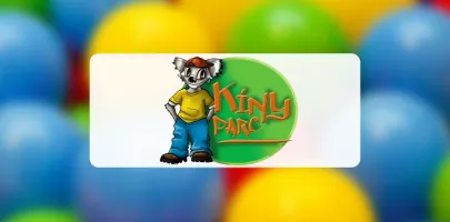 Produit KINY PARC Image