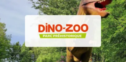 Produit DINO ZOO Image