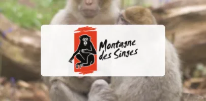Produit MONTAGNE DES SINGES Image